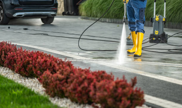 Professional Pressure Washing in West Elmira, NY